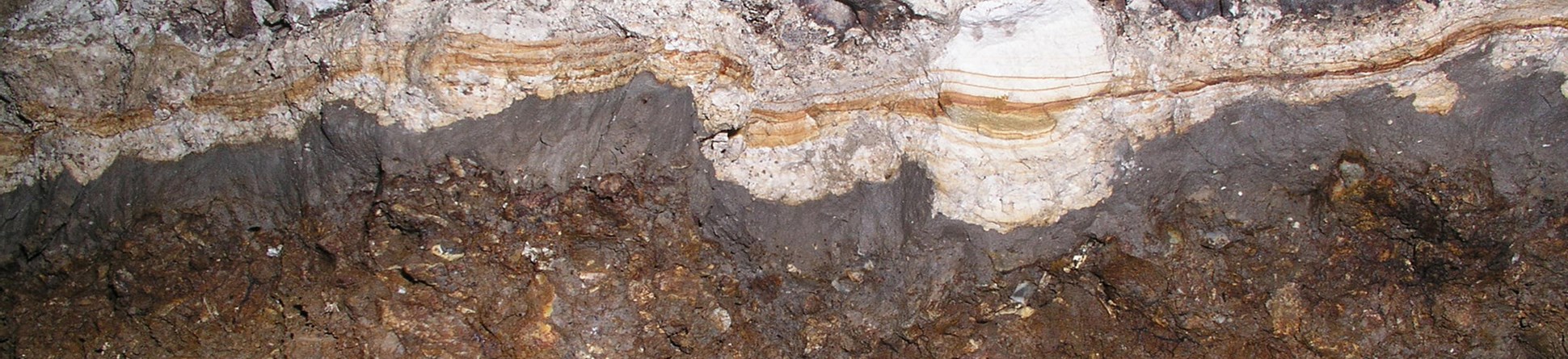 Photograph of the old land surface found beneath Silbury Hill, Wiltshire