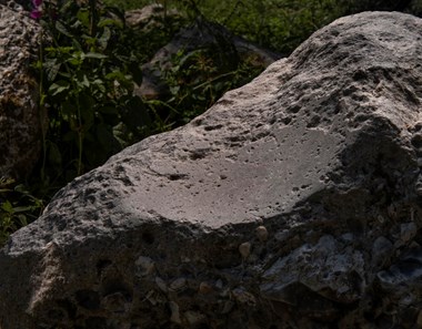 A close up photograph of the surface of a stone boulder worn smooth through being used to polish stone axe-heads.