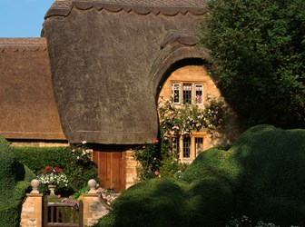 A close-up photograph of a thatched cottage and garden, with flowers growing up the front wall.